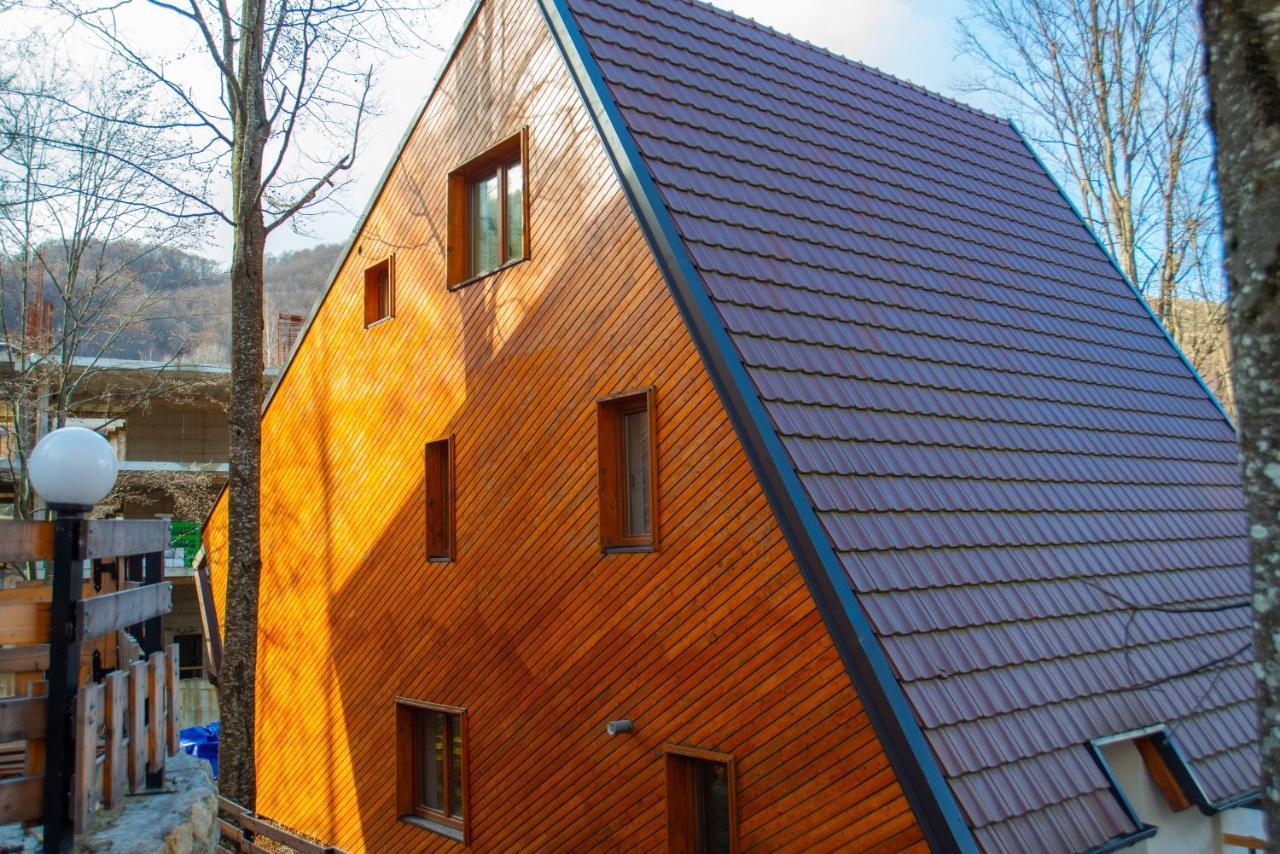 Meshtekna Vila Brezovica Exterior foto