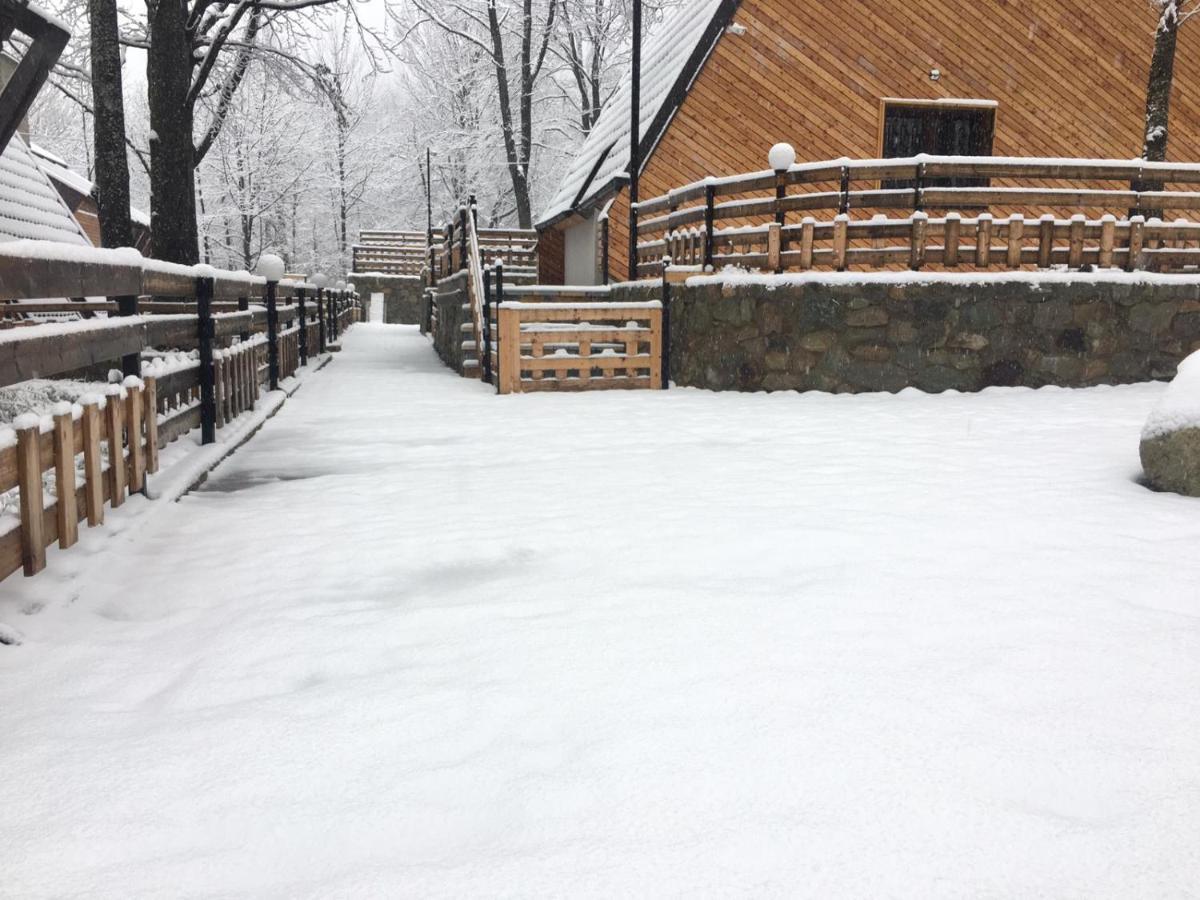 Meshtekna Vila Brezovica Exterior foto